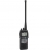 icom ic-a24